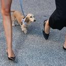 Filename=image005.jpg
Filesize=531KiB
Dimensions=2500x1666
Date added=Sep 07, 2025 image005.jpg