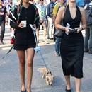 Filename=image006.jpg
Filesize=625KiB
Dimensions=1667x2500
Date added=Sep 07, 2025 image006.jpg