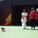 Filename=image003.jpg
Filesize=331KiB
Dimensions=1666x2500
Date added=Oct 24, 2025 image003.jpg