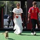 Filename=image010.jpg
Filesize=182KiB
Dimensions=1300x867
Date added=Oct 24, 2025 image010.jpg