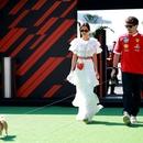 Filename=image014.jpg
Filesize=364KiB
Dimensions=2500x1666
Date added=Oct 24, 2025 image014.jpg