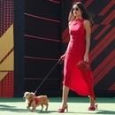 Filename=image010.jpg
Filesize=296KiB
Dimensions=2500x1666
Date added=Oct 26, 2025 image010.jpg