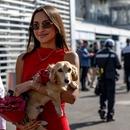 Filename=image019~0.jpg
Filesize=340KiB
Dimensions=2500x1667
Date added=Oct 27, 2025 image019~0.jpg