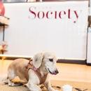 Filename=002.jpg
Filesize=131KiB
Dimensions=1080x1440
Date added=Nov 04, 2025 002.jpg