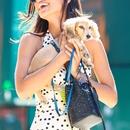 Filename=image119.jpg
Filesize=481KiB
Dimensions=1667x2500
Date added=Aug 22, 2025 image119.jpg