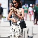 Filename=image160.jpg
Filesize=331KiB
Dimensions=1667x2500
Date added=Aug 22, 2025 image160.jpg