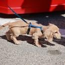 Filename=image200.jpg
Filesize=483KiB
Dimensions=2500x1667
Date added=Aug 22, 2025 image200.jpg