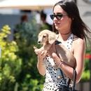 Filename=image222.jpg
Filesize=375KiB
Dimensions=1667x2500
Date added=Aug 22, 2025 image222.jpg