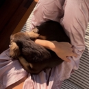 Filename=c1c76f7c-3122-4306-845e-5a24cd295636.jpeg
Filesize=145KiB
Dimensions=1080x1389
Date added=Jan 13, 2026 c1c76f7c-3122-4306-845e-5a24cd295636.jpeg