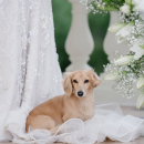 Filename=image021.jpg
Filesize=111KiB
Dimensions=1080x1440
Date added=Mar 02, 2026 image021.jpg