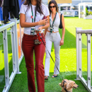 Filename=image014.jpg
Filesize=572KiB
Dimensions=1365x2048
Date added=May 05, 2026 image014.jpg