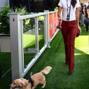 Filename=image034.jpg
Filesize=562KiB
Dimensions=1366x2048
Date added=May 05, 2026 image034.jpg