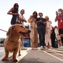 Filename=image000003.jpg
Filesize=292KiB
Dimensions=2500x1666
Date added=Aug 23, 2025 image000003.jpg