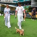 Filename=image843.jpg
Filesize=891KiB
Dimensions=2500x1665
Date added=Aug 26, 2025 image843.jpg