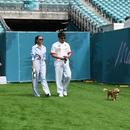 Filename=image846.jpg
Filesize=477KiB
Dimensions=2500x1667
Date added=Aug 26, 2025 image846.jpg