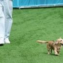 Filename=image854.jpg
Filesize=487KiB
Dimensions=2500x1814
Date added=Aug 26, 2025 image854.jpg