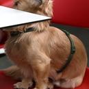 Filename=image000018.jpg
Filesize=287KiB
Dimensions=1666x2500
Date added=Aug 26, 2025 image000018.jpg