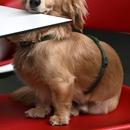 Filename=image000019.jpg
Filesize=270KiB
Dimensions=1666x2500
Date added=Aug 26, 2025 image000019.jpg