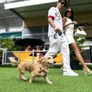 Filename=image873.jpg
Filesize=485KiB
Dimensions=2500x1666
Date added=Aug 26, 2025 image873.jpg