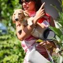 Filename=image1133.jpg
Filesize=408KiB
Dimensions=1667x2500
Date added=Aug 28, 2025 image1133.jpg