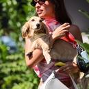 Filename=image1134.jpg
Filesize=394KiB
Dimensions=1667x2500
Date added=Aug 28, 2025 image1134.jpg