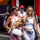 Filename=image1136.jpg
Filesize=356KiB
Dimensions=2500x1666
Date added=Aug 28, 2025 image1136.jpg