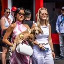 Filename=image1137.jpg
Filesize=354KiB
Dimensions=2500x1668
Date added=Aug 28, 2025 image1137.jpg