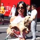 Filename=image1138.jpg
Filesize=282KiB
Dimensions=2500x1667
Date added=Aug 28, 2025 image1138.jpg