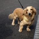 Filename=image1152.jpg
Filesize=393KiB
Dimensions=2500x1667
Date added=Aug 28, 2025 image1152.jpg