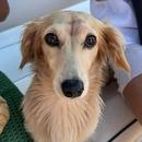 Filename=1000132854.jpg
Filesize=156KiB
Dimensions=1080x1908
Date added=Aug 24, 2025 1000132854.jpg