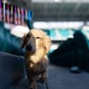 Filename=495689280_18499277839000657_345160856339906983_n_28129.jpg
Filesize=34KiB
Dimensions=640x800
Date added=Aug 22, 2025 495689280_18499277839000657_345160856339906983_n_28129.jpg