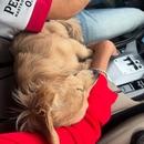 Filename=496329798_18499787005000657_1975743581117222565_n.jpg
Filesize=59KiB
Dimensions=640x798
Date added=Aug 22, 2025 496329798_18499787005000657_1975743581117222565_n.jpg