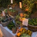 Filename=0003.jpg
Filesize=213KiB
Dimensions=1080x1380
Date added=Sep 22, 2025 0003.jpg