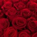 Filename=479715578_18483943549000657_1997345705222997396_n.jpg
Filesize=39KiB
Dimensions=640x769
Date added=Aug 22, 2025 479715578_18483943549000657_1997345705222997396_n.jpg