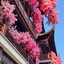 Filename=486204824_18491128015000657_7454314176576683430_n.jpg
Filesize=122KiB
Dimensions=640x800
Date added=Aug 22, 2025 486204824_18491128015000657_7454314176576683430_n.jpg